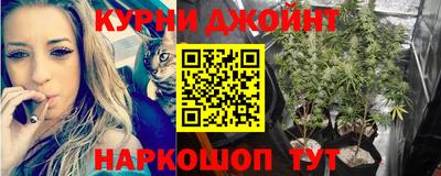 стафф Будённовск