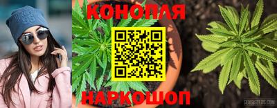 крисы Бузулук