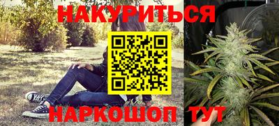 стафф Будённовск