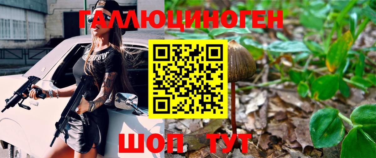 Нижний Новгород  Псилоцибиновые грибы Psilocybine cubensis  Галлюциногенные грибы ЛСД  Вход с VPN 